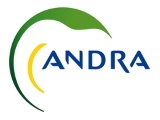 Andra